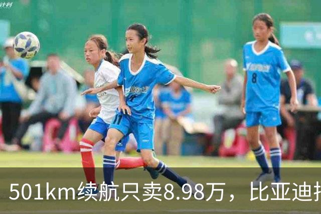 501km续航只卖8.98万，比亚迪把长续航打到了10万内